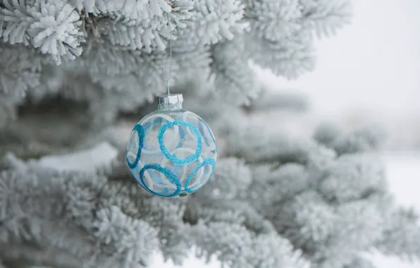 Frost, balls, holiday, toy, tree