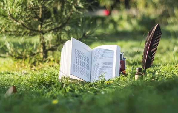 Picture grass, trees, nature, plants, book, a pen for writing