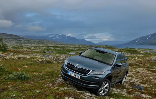 Rocks, vegetation, SUV, Skoda, Skoda, 2016, Kodiaq