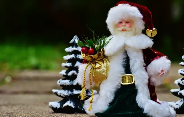 Grass, nature, background, holiday, toy, new year, Christmas, spruce