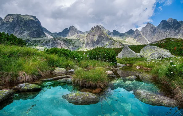 Picture grass, landscape, mountains, nature, stones, vegetation, pond, Tatras