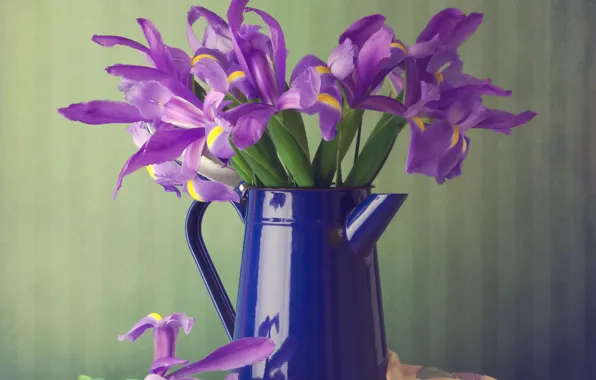 Flowers, bouquet, pitcher, irises