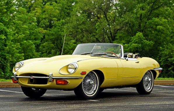Jaguar, Jaguar, convertible, E-Type, 1968