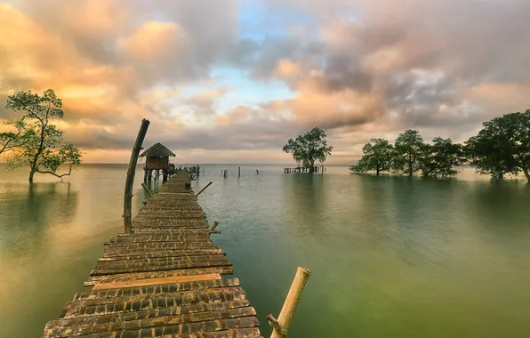 Picture trees, lake, pier, hut, the bridge