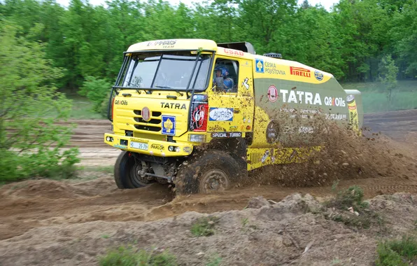 Picture Photo, Trees, Forest, Truck, Race, Dirt, Rally, Dakar