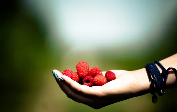 Picture berries, raspberry, palm, a handful