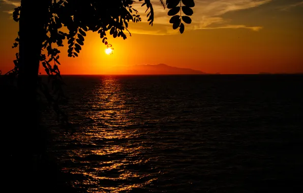 The sky, trees, landscape, nature, silhouette, sunset. sea