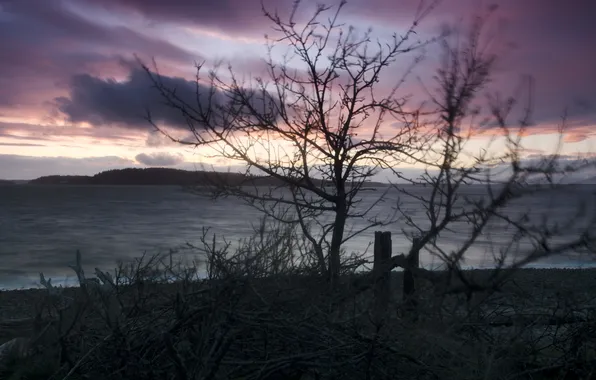 Trees, landscape, sunset, lake