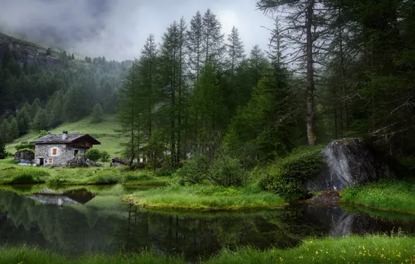 Picture forest, mountains, lake, home
