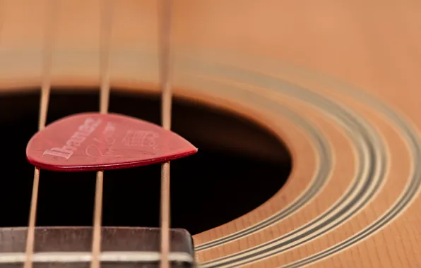 Macro, music, guitar