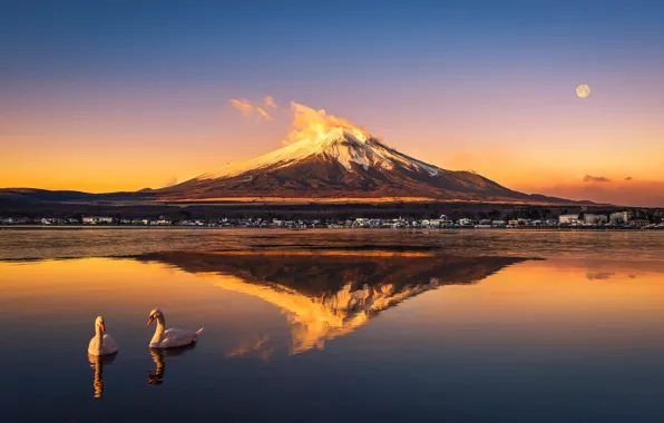 Picture reflection, mountain, The moon, Fuji, moon, swans, mountain, reflection