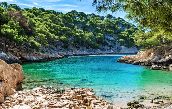 Sea, beach, trees, stones, rocks, Bay, Bay