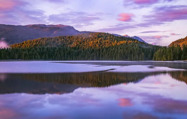 Forest, the sky, clouds, light, mountains, lake, reflection, shore