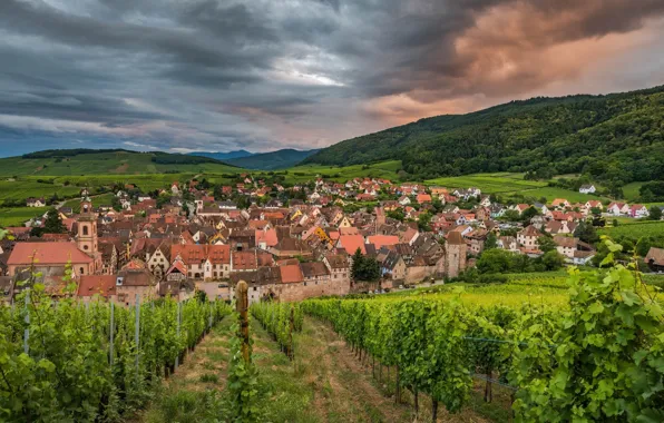 Picture nature, the city, panorama, Riquewihr