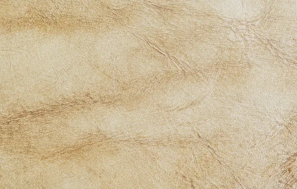 Surface, divorce, texture, leather, relief, texture, beige, leather