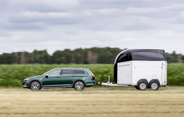Picture Volkswagen, side view, the trailer, universal, Passat, dark green, Alltrack, 2019