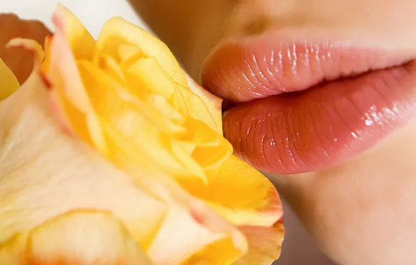 Girl, flowers, kiss, lips, yellow rose