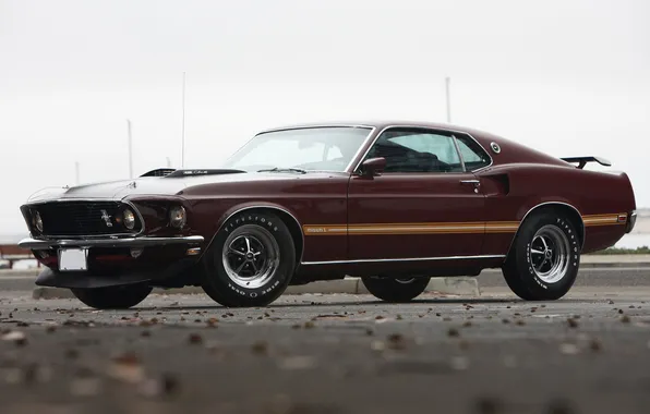 Asphalt, mustang, 1969