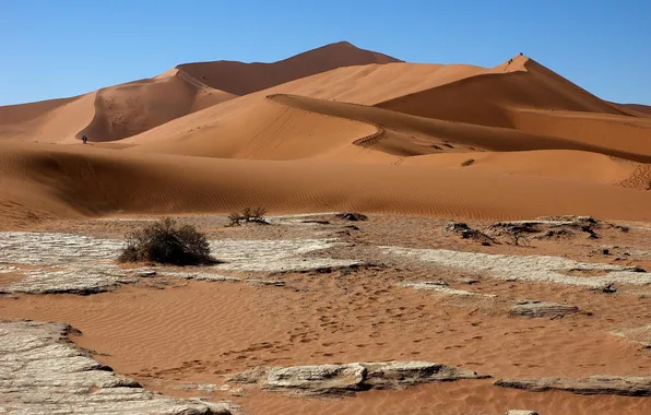 Sand, desert, barkhan, Africa, Namibia