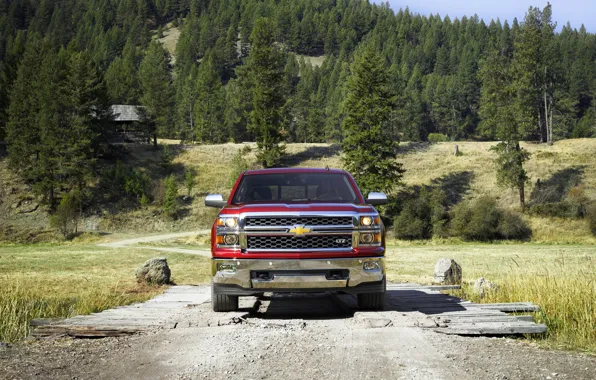 Red, Chevrolet, Forest, Chevrolet, Lights, Pickup, The front, Silverado