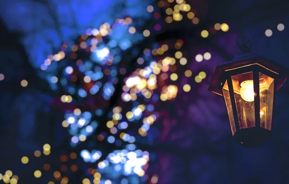 Outdoor Christmas Lights Stock Photos, Images and Backgrounds for Free  Download