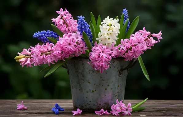 Flowers, hyacinths, bucket, AI art