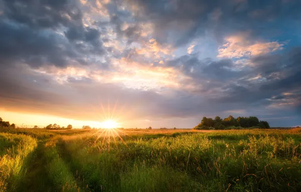 Road, field, the sky, grass, the sun, clouds, rays, trees