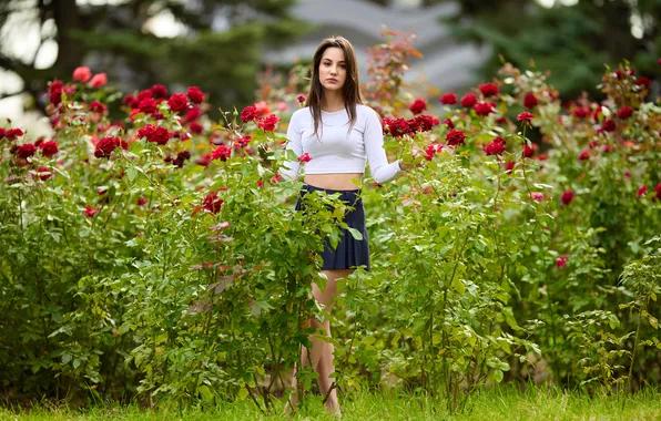 Pose, Roses, Skirt, Blouse