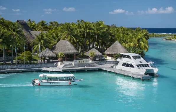 Boats, palms, resort, bungalow, bora-bora, St-Regis