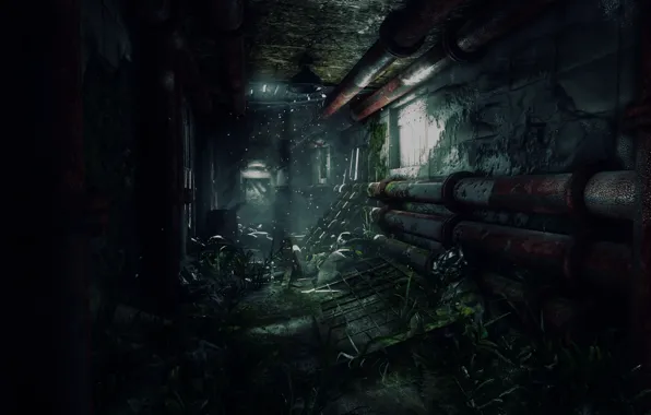 Apocalypse, devastation, chaos, Tom Clancy's, Ubisoft Entertainment, The Division