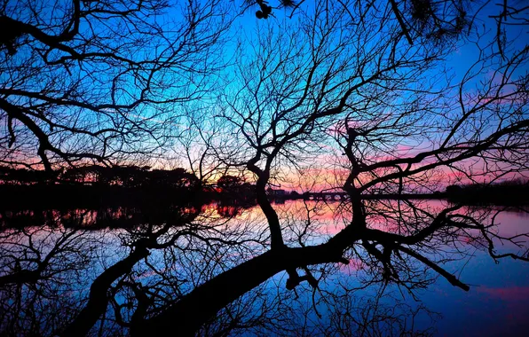 Picture the sky, bridge, lake, tree, branch, mirror, silhouette, twilight