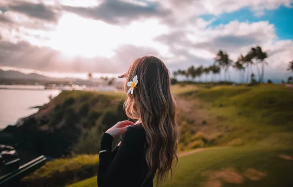 Picture flower, girl, the sun, hair