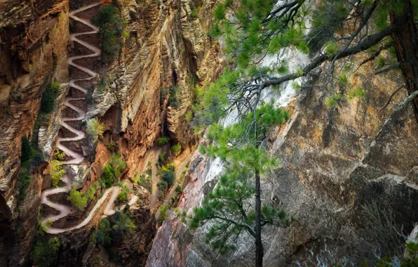 Trail, Utah, USA, serpentine, Zion National Park, Zion national Park, Walter's Wiggles trail