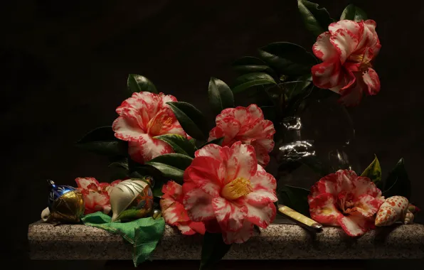 Picture flowers, still life, Camellia