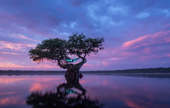 Water, light, space, hammock, space, light, lonely tree, water