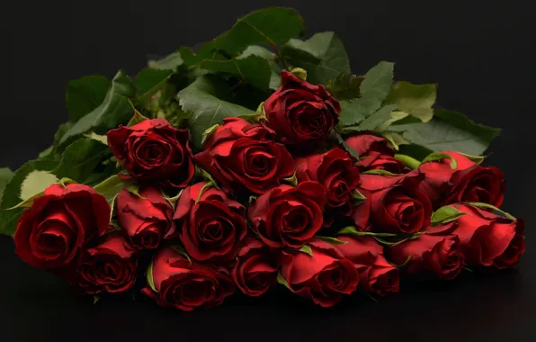 The dark background, bouquet, buds, Red roses