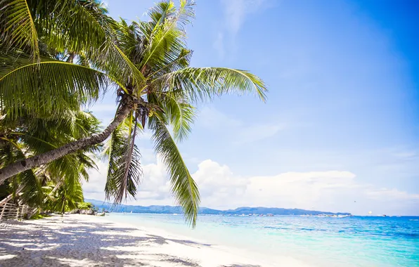 Sand, sea, wave, beach, summer, the sky, palm trees, shore