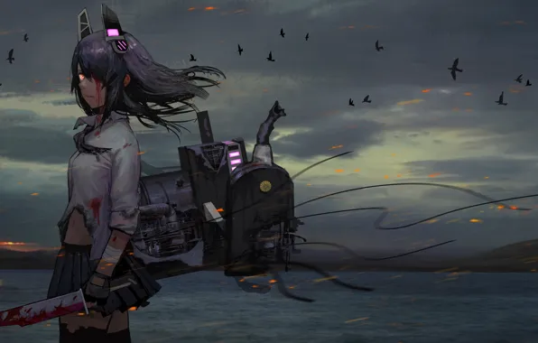 Picture sea, girl, mountains, birds, nature, weapons, blood, anime