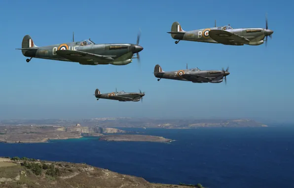 The sky, figure, art, fighters, WW2, British, Supermarine Seafire, the English channel