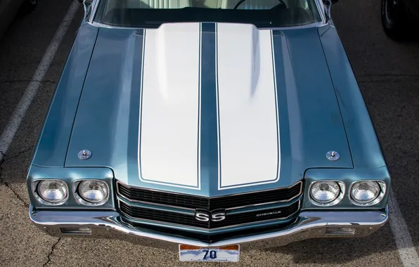 Picture the hood, 1970, Chevy, Chevelle SS