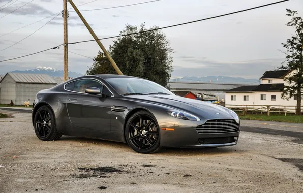 Trees, grey, Aston Martin, building, front view, grey, Aston Martin, Vantage B8