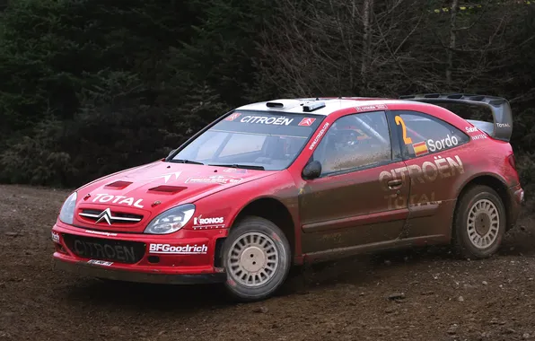 Machine, auto, red, sport, logo, day, The hood, Citroen