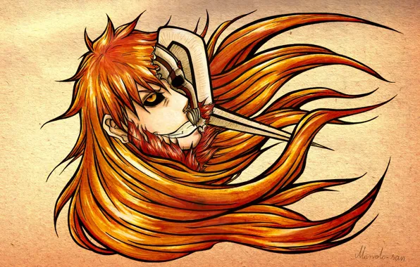 Bleach, Bleach, Ichigo Kurosaki