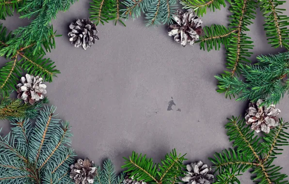 Background, new year, spruce, bumps