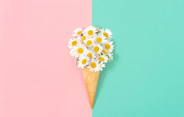 Picture background, chamomile, waffle cone