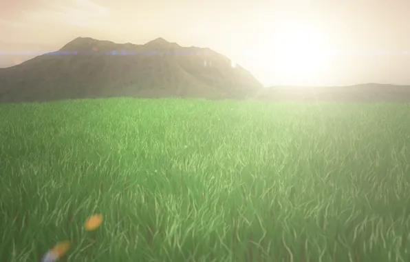 Grass, landscapes, sun, rendering