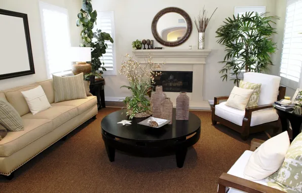 Picture design, style, table, room, sofa, black, interior, plants