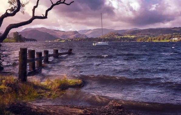 Wave, lake, shore