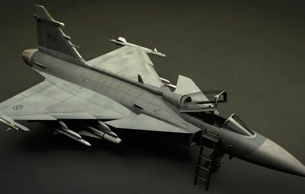Picture the plane, rendering, model, fighter