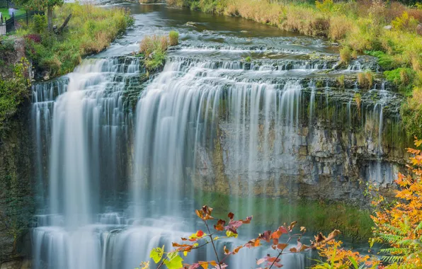 Autumn, branches, nature, river, open, rocks, foliage, waterfall